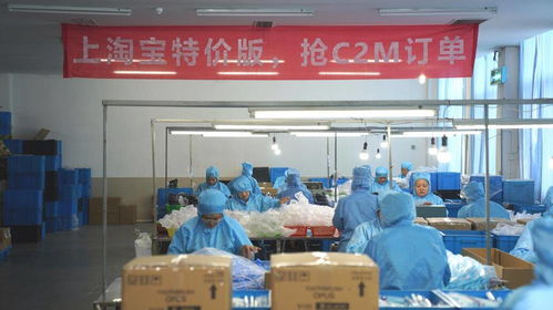 淘寶特價版上線外貿頻道，2000家大牌外貿工廠入駐，電器輔件銷售迎來新機遇